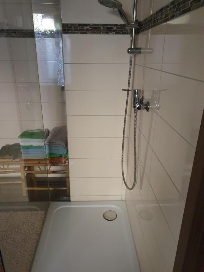 Wasserweibchen Neptun Diez Exterior foto